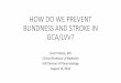 HOW DO WE PREVENT BLINDNESS AND STROKE IN GCA/LVV?nwrsmeeting.org/wp-content/uploads/2017/04/Blindness-and-Stroke-i… · •GCA is the most common systemic vasculitis •Women: men;