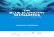 THE BLUE ECONOMY CHALLENGE · The Blue Economy Challenge seeks to find ways to rethink aquaculture inputs, design, and products in way that meets human sustainability and development