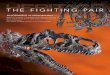 THE FIGHTING PAIR - Heritage Auctionsfineart.ha.com/s/d/fighting-pair.pdf · THE FIGHTING PAIR. THE ALLOSAURUS The Official State Fossil of Utah, the Allosaurus was a large theropod