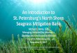 An Introduction to St. Petersburg’s North Shore …...An Introduction to St. Petersburg’s North Shore Seagrass Mitigation Bank Michael J. Dema, Esq. Managing Assistant City Attorney