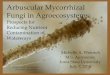 Arbuscular Mycorrhizal Fungi in Agroecosystems...1 Arbuscular Mycorrhizal Fungi in Agroecosystems: Prospects for Reducing Nutrient Contamination of Waterways Michelle A. Wenisch M.S