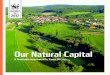 Our Natural Capital - Pandaawsassets.panda.org/.../our_natural_capital_march_2012.pdfPublished in March 2012 by WWF-World Wide Fund For Nature (Formerly World Wildlife Fund), Brussels,