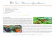 Organic gardening tips for an abundant harvest | The Micro Gardener Newsletter · 2016-06-12 · Build new garden beds if the weather is more comfortable. Protect frost-sensitive
