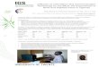 Diffusion of Information and Communication Technology for ... · Diffusion of Information and Communication Technology for the Blind: the Experiences of Blind and Sighted Users in
