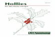 DIVISION OF AGRICULTURE - uaex.eduThis small-leaved holly is native to the southeastern U.S., extending into the southernmost counties of Arkansas. At first glance the Yaupon holly