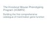 The Knockout Mouse Phenotyping Program (KOMP2)...The context and challenge • Much of the mammalian genome is “dark”** - the function of the majority of genes in the mouse and
