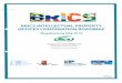 BRICS INTELLECTUAL PROPERTY OFFICES COOPERA TION ROADMAP FOCUS: CAPACITY BUILDING Leading Office: SIPO Leading Office: INPI 81 I nformation Services on IP/Patent Processes and procedures
