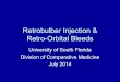 Retrobulbar Injection & Retro-Orbital Bleeds Retro-Orbital Injection (ROI) â€¢Retro-orbital injection