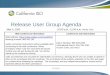 Release User Group Agenda - California ISO€¦ · Release User Group Agenda Page 2 ... webinar and slides) You can find new initiatives training courses on the learning center web