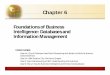 Foundations of Business Intelligence: Databases and ...emrulmahmud.weebly.com/.../laudon_mis13_ch06.pdf · traditional file environment are solved by a database management system