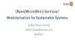 {Nano|Micro|Mini}-Services? Modularization for Sustainable ... · Limited interaction with other systems Autonomous deployment and operations. Macro (technical) architecture ... Accessible