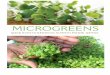 MICRO GREENS - Amazon S3 · Embarking on this venture of growing and eating your own greens doesn’t require that you change your diet. Packed with great taste, these little greens