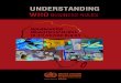 Handbook for Ministries of Health in the African Region · Understanding WHO business rules: Handbook for Ministries of Health in the African Region 1. World Health Organization –