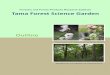 Forestry and Forest Products Research Institute Tama ... · Educational Resources Research Group . Overview of Research . The Tama Forest Science Garden’s Cherry Tree Preservation