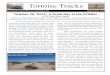 Tortoise Tracks · The Desert Tortoise Preserve Committee, Inc. Tortoise Tracks Winter 2012 32:4 On the morning of October 20, 2012, 30 individuals passionate about the tortoise and