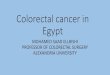 MOHAMED SAAD ELLBISHI PROFESSOR OF COLORECTAL … · PROFESSOR OF COLORECTAL SURGERY ALEXANDRIA UNIVERSITY. ... and Ebtesam Esmail Hassan1. The most significant dietary and lifestyle
