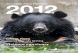 China rises - Animals Asia Foundation...animalsasia.org Animals Asia Review 2012 5 11 bears rescued In 2012, nine rescued bears arrived at our sanctuary in Tam Dao and two in China