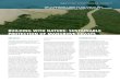 Building with Nature: Sustainable Protection of …...Building with Nature: Sustainable Protection of Mangrove Coasts 7 PROF. HAN WINTERWERP is an expert on morphodynamics and sediment