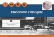 Bloodborne Pathogens - General - Chapman University · 2020-06-01 · Occupational exposure to bloodborne pathogens is not limited to occupations or employment in one or a few industries