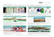 CRYSTAL’S ALL EXCLUSIVE VALUE COLLECTIONs3.amazonaws.com/Virtuoso_cruise_sales2/Cruise News/Cruise New… · Holidays in the Caribbean 6331 Dec 20, 2016 14 Round-trip Miami $200