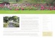 Ladew Newsletter Upcoming Spring of 2012 · 2017-11-14 · SPRING 2012 The mission of Ladew Topiary Gardens is to maintain and promote the gardens, house and facilities in keeping