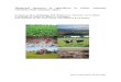 Integrated measures in agriculture to reduce ammonia ... · Integrated measures in agriculture to reduce ammonia emissions; final summary report O. Oenema, D.A. Oudendag, H.P. Witzke,