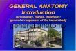 GENERAL ANATOMY Introduction - Univerzita Karlovaanat.lf1.cuni.cz/souhrny/azubz_01.pdf · GENERAL ANATOMY Introduction terminology, planes, directions; general arrangement of the