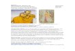 Syllabus: ARTH 104/SAST 200/SAST 500 Spring 2010 Art of ... Shunga Art and Buddhist Populism Buddhist