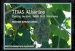 TEXAS Albarino Grapes into Wine … · Llano Estacado 2017 Texas Albarino 100% DATE BRIX/RS % Solids/ g/100 ml T.A. g/100 ml pH ALCHOL % By Vol YAN PPM Harvest: 8.17.17 21.5 0.76