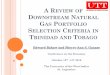 A REVIEW OF DOWNSTREAM NATURAL GAS PORTFOLIO SELECTION …€¦ · Review of downstream portfolio selection criteria ... A1 A2 A3 A4 A5 A6 A7 A8 A9 A10 A11 Ammonia Gas Utilization