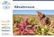 Descriptors for quinoa (Chenopodium quinoa Willd.) and ...€¦ · crop management, agricultural biodiversity sustainable management, development of agribusinesses impact-oriented