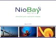 diversified junior exploration companyniobaymetals.com/wp/wp-content/uploads/2018/04/NioBay-Corporat… · Niobay Metals Inc. is a mineral resource exploration company listed on the