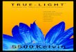 5500 Kelvin - True-Light · 5500 Kelvin TRUE-LIGHT ® Vollspektrum Tageslicht Leuchtstofflampen • Gesundes Licht • Konzentriertes Arbeiten • Beste Farberkennung • Aktiv sein