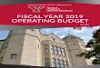 Fiscal Year 2019 Operating Budget - YSU · FISCAL YEAR 2019 OPERATING BUDGET . University Mission Statement . Youngstown State University—an urban research university—emphasizes