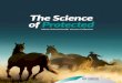 The Science of Protected - Merck Animal Health USA€¦ · Prodigy equine herpesvirus vaccine is recommended for pregnant mares as an aid in prevention of EHV-1 induced abortions