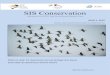 SIS Conservation - Stork, Ibis & Spoonbill · SIS CONSERVATION 1 (2019) 43–49 SPECIAL ISSUE: GLOSSY IBIS ECOLOGY & CONSERVATION 43 Glossy Ibis Plegadisfalcinellusin Serbia and Neighbouring