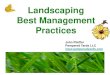 Landscaping Best Management Practices - Tampa â€¢Grass is difficult to maintain in Floridaâ€™s humid,