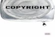 ISSUE 07 COPYRIGHT€¦ · copyright law - and its enforcement - can have on legitimate business. This ranges from enforcement measures ultimately prohibited by the European Court