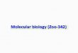 Molecular biology (Zoo-342) - KSUfac.ksu.edu.sa/sites/default/files/lecture_1_molecular_biology.pdf · Time table for weekly planning for Molecular Biology Lectures Dates Syllabus