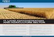 IT, LAND ADMINISTRATION AND AGRICULTURE SECTOReptisasee.com/wp-content/uploads/short_booklets/ehe-short-brochur… · IT, LAND ADMINISTRATION AND AGRICULTURE SECTOR We provide innovative