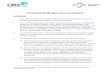 ICN Vertical Mergers Survey Report€¦ · ICN Vertical Mergers Survey Report SUMMARY 1. This paper presents the initial findings from a new workstream for the ICN Mergers Working