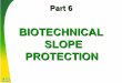 BIOTECHNICAL SLOPE PROTECTIONweb.mst.edu/~rogersda/umrcourses/ge441/online_lectures/slope_fac… · Biotechnical slope protection emanated from the humid climes of western Europe,