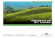 Gardens of Sri Lanka - Garden Travel Hub€¦ · Neither News Limited, nor any of its subsidiaries nor any of their newspapers have any involvement in the tour, and have no liability