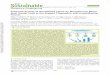 Enhanced Activity of Immobilized Lipase by Phosphonium ...path.web.ua.pt/publications/acssuschemeng.9b03741.pdf · and feasible to use at a large scale, it is mandatory to have a