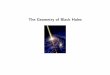 The Geometry of Black Holes - perimeterinstitute.caperimeterinstitute.ca/personal/tfritz/2006/blackholes.pdf · The Geometry of Black Holes Einstein’s equations and the Schwarzschild