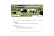 Cattle Outlook and Strategies - Division of Extension€¦ · Cattle Outlook and Strategies February 2018 Brenda L. Boetel UW-River Falls Extension Commodity Marketing Specialist