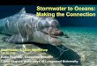 Stormwater to Oceans: Making the Connection Katie Register, growing concer… · • 90% of all plastic made is still with us • Plastics are persistent & transportable • ~85%