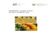 The United States Market for Pineapples€¦  · Web viewSunflower oil is valued for its light taste, frying performance and health benefits. Sunflower oil meets the needs of consumer