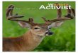 $XWXPQ &DOHQGDUlgnc.org/pdfdocs/Activist 81 Website.pdf · Wildlife Activist (ISSN 0894-4660) is the newsletter of the Lehigh Gap Nature Center (Wildlife Information Center, Inc.),