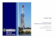 Shale Gas - mde.state.md.usmde.state.md.us/programs/Land/mining/marcellus/Documents/DOE_… · Shale gas is a potential game changer WHAT? WHERE? The natural gas stored in shales